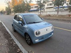 ORA Black Cat 351km Luxury - ფოტო 3