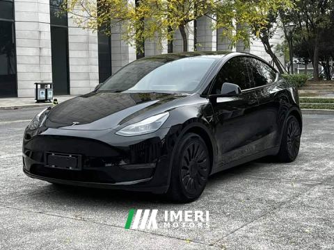 2021 Tesla Model Y Standard Range RWD - ავტომობილი ჩინეთიდან