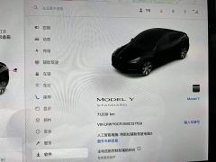 Tesla Model Y Standard Range RWD - фото 19