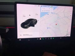 Tesla Model 3 Performance All-Wheel Drive - ფოტო 14