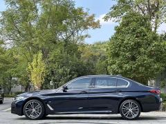 BMW 5 Series 530Li Premier M Sport Package - ფოტო 10