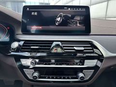 BMW 5 Series 530Li Premier M Sport Package - ფოტო 13