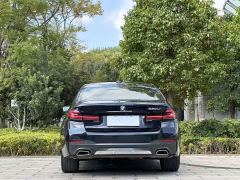 BMW 5 Series 530Li Premier M Sport Package - ფოტო 8