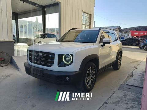 2021 Great Wall Dachshund 1.5T DCT Two-Wheel Drive Border Collie-Wangcai Edition - ავტომობილი ჩინეთიდან