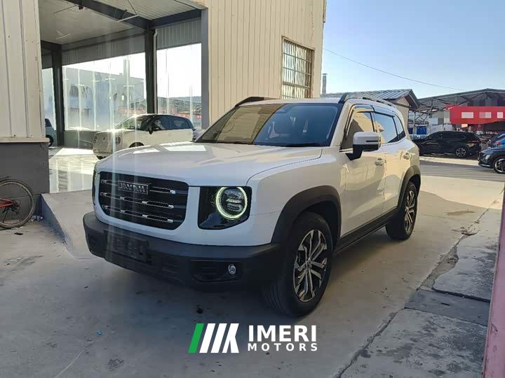 Great Wall Dachshund 1.5T DCT Two-Wheel Drive Border Collie-Wangcai Edition