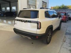 Great Wall Dachshund 1.5T DCT Two-Wheel Drive Border Collie-Wangcai Edition - photo 6