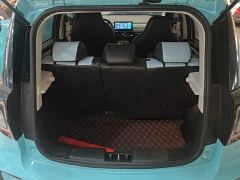 JAC Flower Fairy 302km Luxury 31.4kWh - ფოტო 18