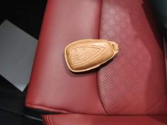Changan Eado PLUS Blue Whale NE 1.4T GDI DCT Flagship - ფოტო 8