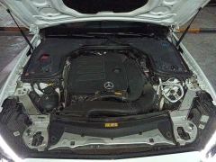 Mercedes-Benz E-Class E 300 L Sport Fashion Edition - photo 16