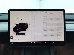 Tesla Model Y Rear-Wheel Drive - ფოტო 14