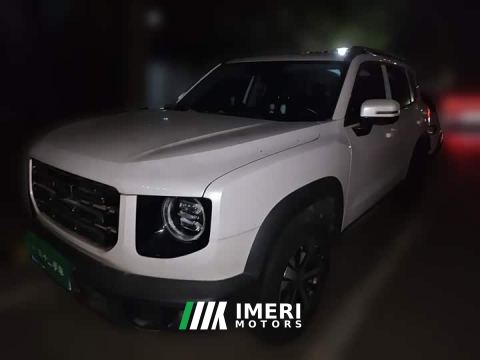2021 Great Wall Dachshund 1.5T DCT Two-Wheel Drive Labrador Edition