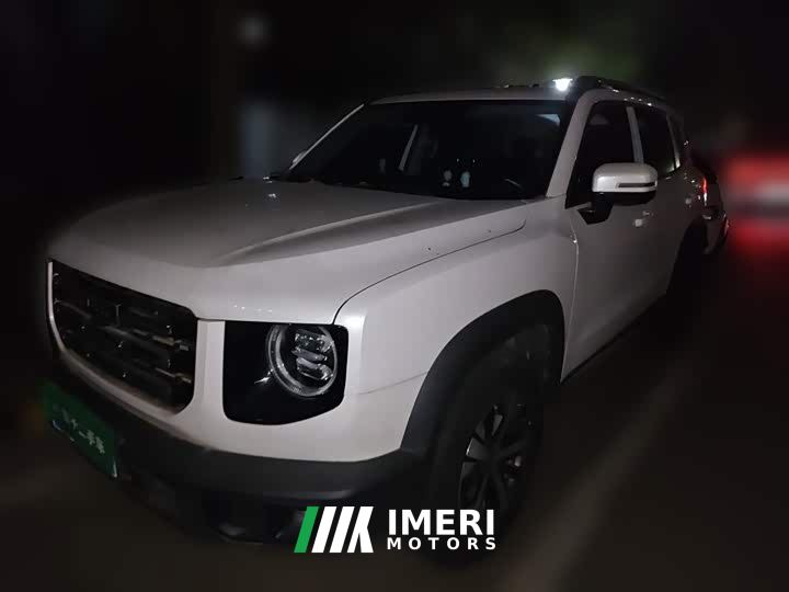 Great Wall Dachshund 1.5T DCT Two-Wheel Drive Labrador Edition