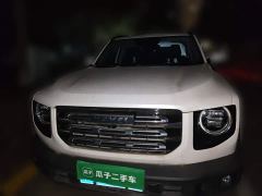 Great Wall Dachshund 1.5T DCT Two-Wheel Drive Labrador Edition - photo 2