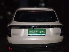 Great Wall Dachshund 1.5T DCT Two-Wheel Drive Labrador Edition - photo 3