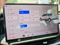 Geely EV 460km AWD - ფოტო 15