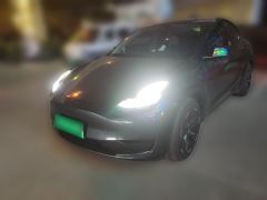 Tesla Model Y 554km Rear-Wheel Drive Edition - ფოტო 1