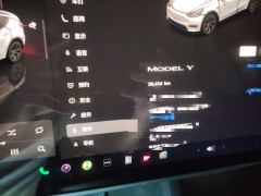 Tesla Model Y 554km Rear-Wheel Drive Edition - ფოტო 13