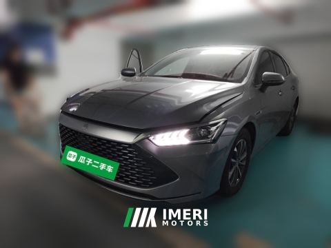 2023 BYD Qin PLUS DM-i Champion Edition 1.5L 55km Leading Edition