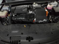 BYD Qin PLUS DM-i Champion Edition 1.5L 55km Leading Edition - фото 16