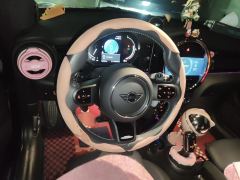 BMW MINI Facelift 2.0T COOPER S Racer - ფოტო 6