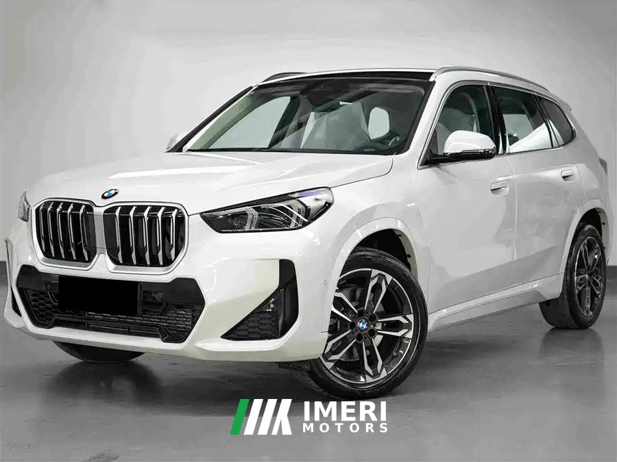 BMW X1 sDrive25Li X Design Package - car from China