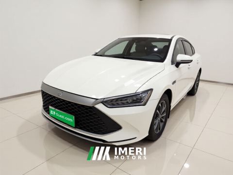2023 BYD Qin PLUS DM-i Champion Edition 1.5L 55km Leading Edition