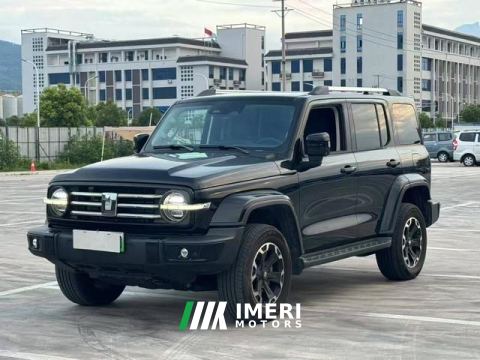 2024 Tank 300 New Energy 2.0T Hi4-T - ავტომობილი ჩინეთიდან