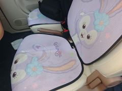 Besturn Pony Xiaoma 222km Agile Edition - photo 16