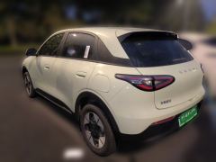 Geely Star Wish 310km Edition - ფოტო 4