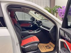 BMW X1 sDrive25Li X Design Package - ფოტო 13