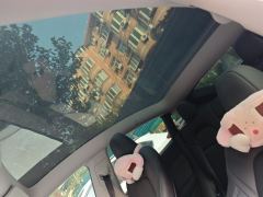 Tesla Model Y 554km Rear-Wheel Drive Edition - ფოტო 14
