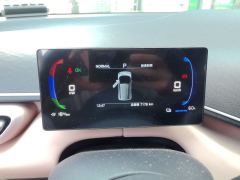 BYD Seagull Smart Driving Edition 305km Vitality Edition - фото 7
