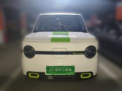 Geely Galaxy Panda mini 210km Yuanqi Bear - ფოტო 2