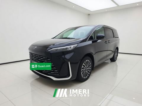 2025 Buick GL8 Plug-in Hybrid Luxing 1.5T 142km Smart Edition - автомобиль из Китая