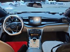 BYD Qin PLUS DM-i Honor Edition 1.5L 55km Leading Edition - photo 10