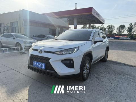 2023 Toyota Wildlander 2.0L 2WD Edition - автомобиль из Китая