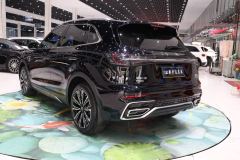 FAW Hongqi HS5 Red Flag HS5 2.0T AWD Flagship Pro Edition - photo 4