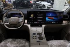 Chery Fengyun T11 EREV Edition 220km AWD - ფოტო 12