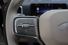 Chery Fengyun T11 EREV Edition 220km AWD - ფოტო 17