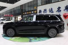 Chery Fengyun T11 EREV Edition 220km AWD - ფოტო 3