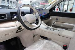 Chery Fengyun T11 EREV Edition 220km AWD - ფოტო 6