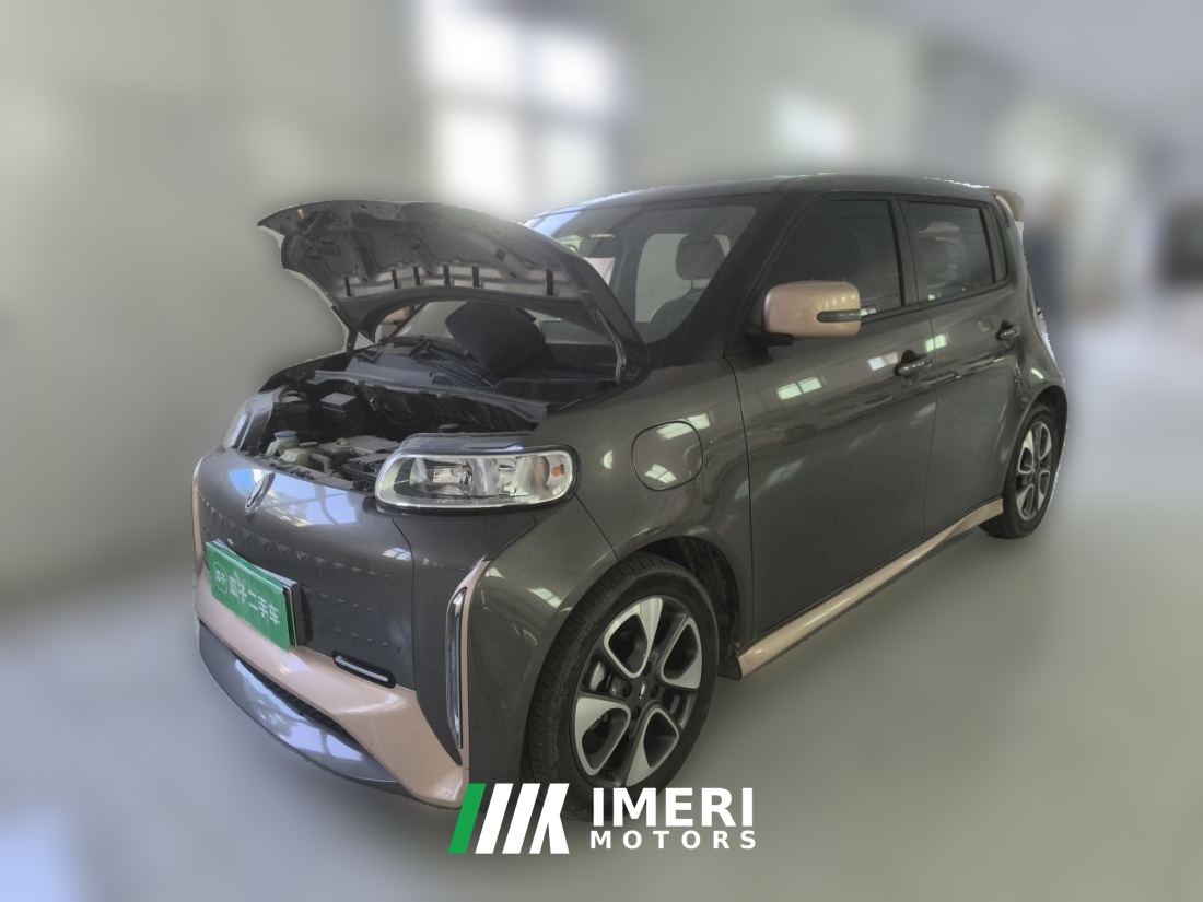 Ora White Cat Edition 360Km Luxury Version - ავტომობილი ჩინეთიდან