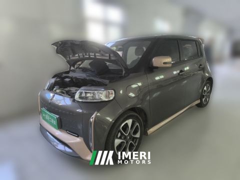 2022 Ora White Cat Edition 360Km Luxury Version - автомобиль из Китая