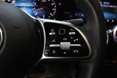 Mercedes-Benz GLB 220 Fashion Edition - photo 15