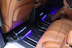 GAC Trumpchi M8 Aspiration M8 2.0T 248km Ultra - photo 10