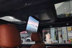 GAC Trumpchi M8 Aspiration M8 2.0T 248km Ultra - photo 12