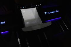 GAC Trumpchi M8 Aspiration M8 2.0T 248km Ultra - photo 13