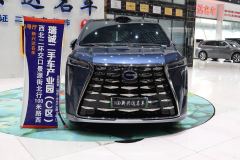 GAC Trumpchi M8 Aspiration M8 2.0T 248km Ultra - photo 2
