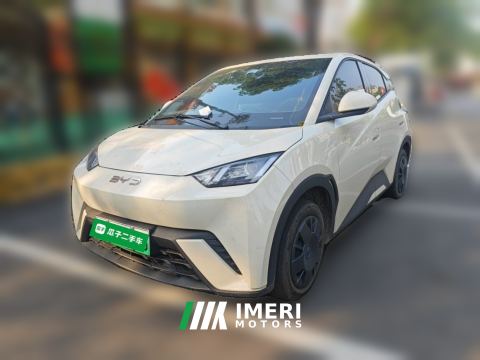 2025 BYD Seagull 305km Vitality Edition - автомобиль из Китая
