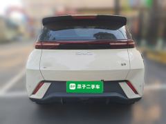 BYD Seagull 305km Vitality Edition - ფოტო 3